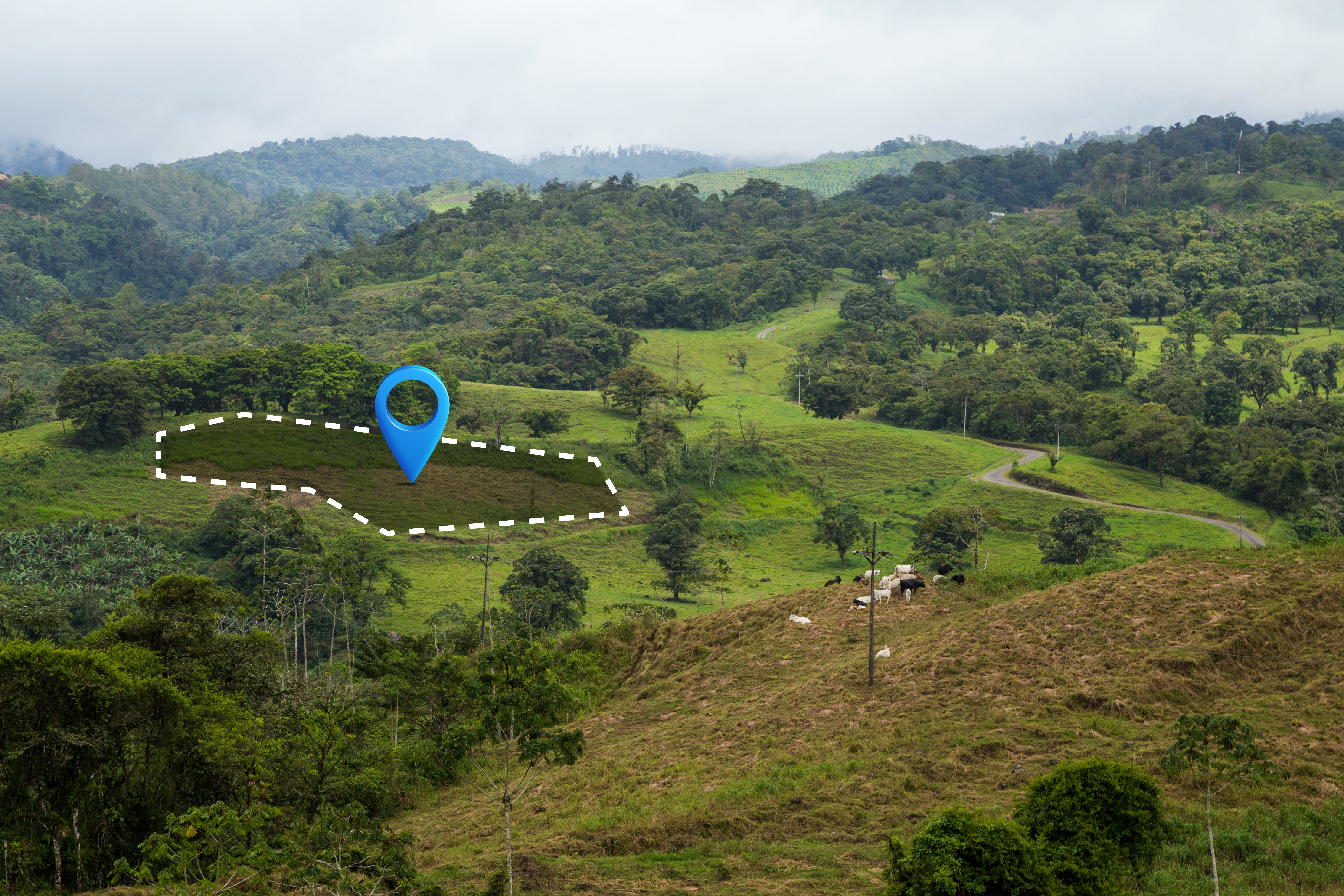 GIS & Remote Sensing