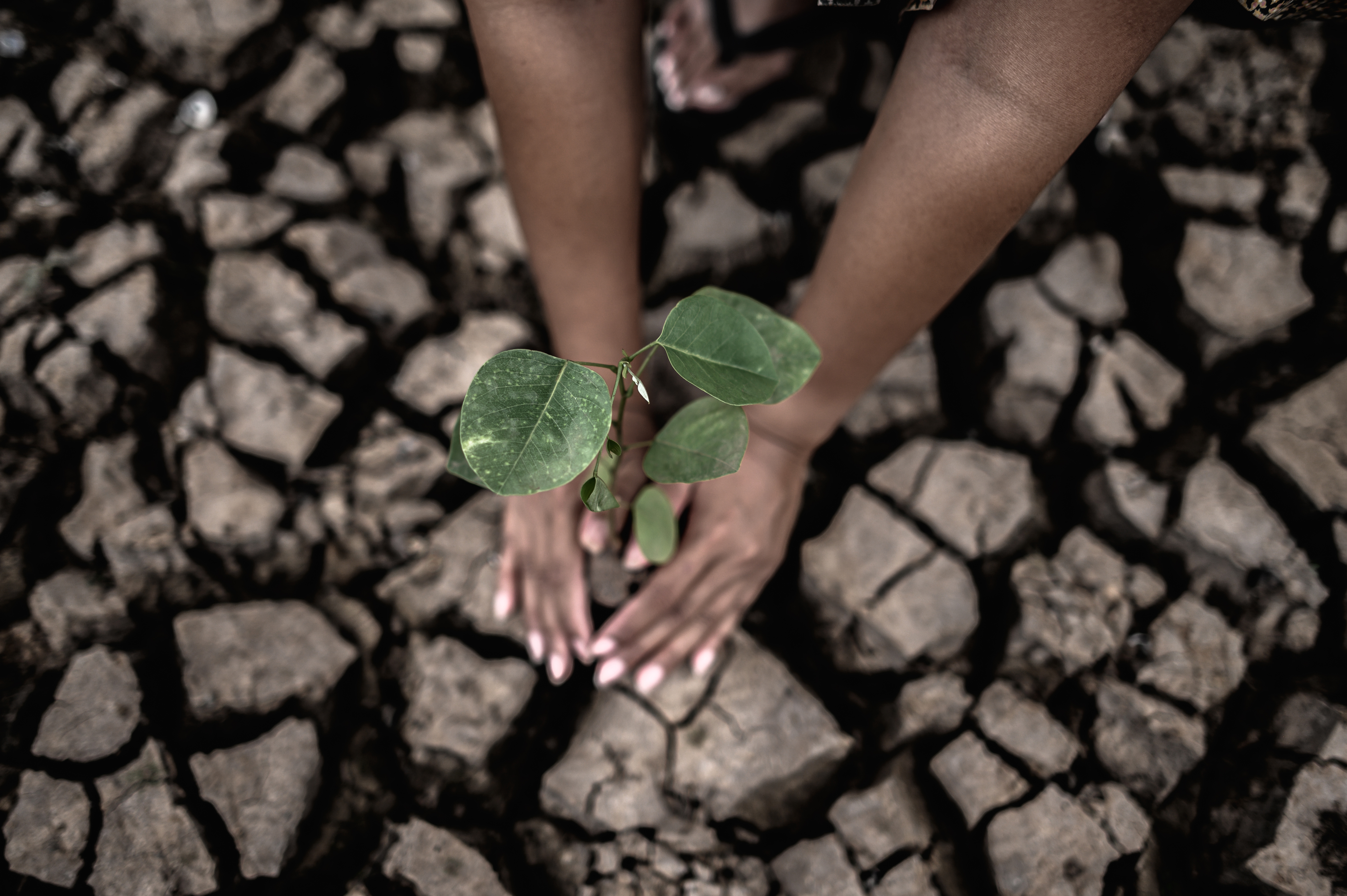 Climate