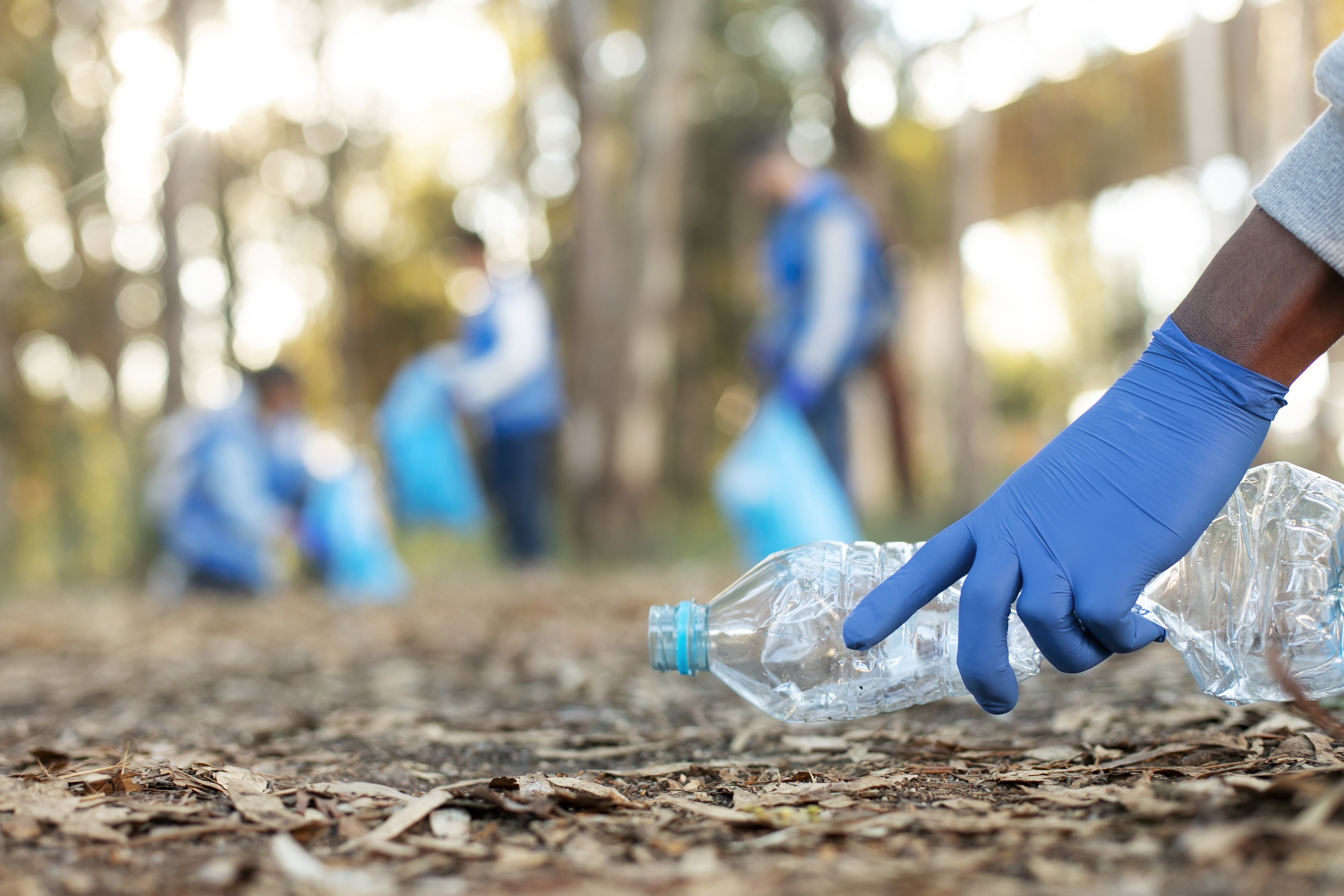 Environmental Health